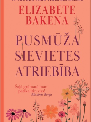 Elizabete Bakena. Pusmūža sievietes atriebība (E-grāmata)  Hover